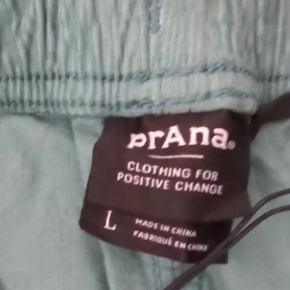 Prana Teal Shorts